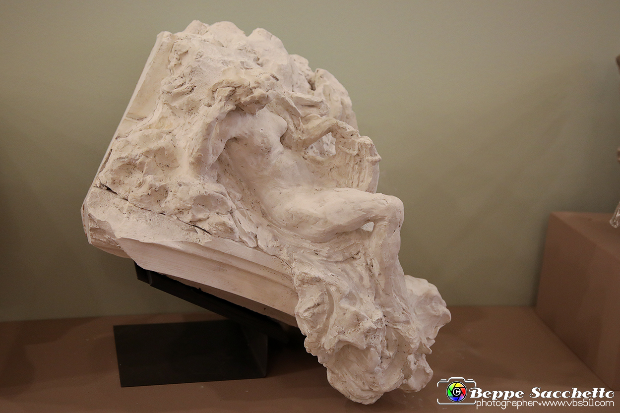 VBS_5047 - Liberty - Torino Capitale.jpg